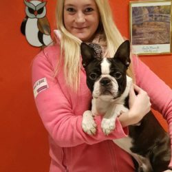 Hessenvilla-Doglive-Muenster-5-min