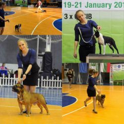 Hessenvilla-International-Dogshow-Bulgarien-7-min